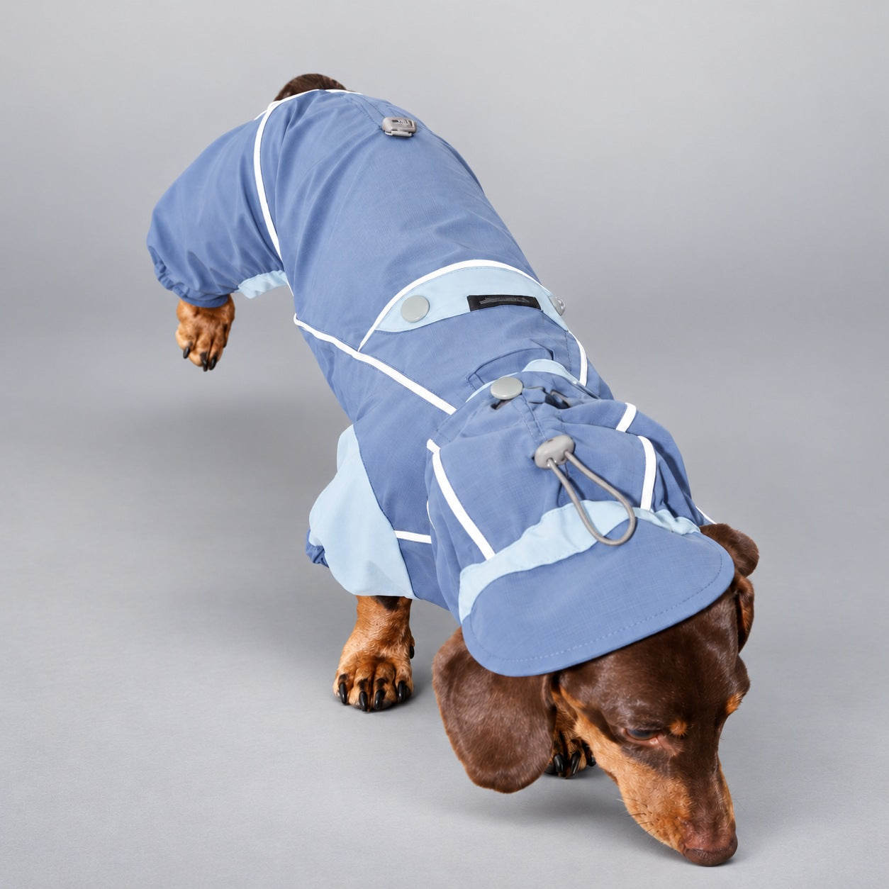 Heather Gray Wool-Blend Two-Leg Pet Sweater（副本）
