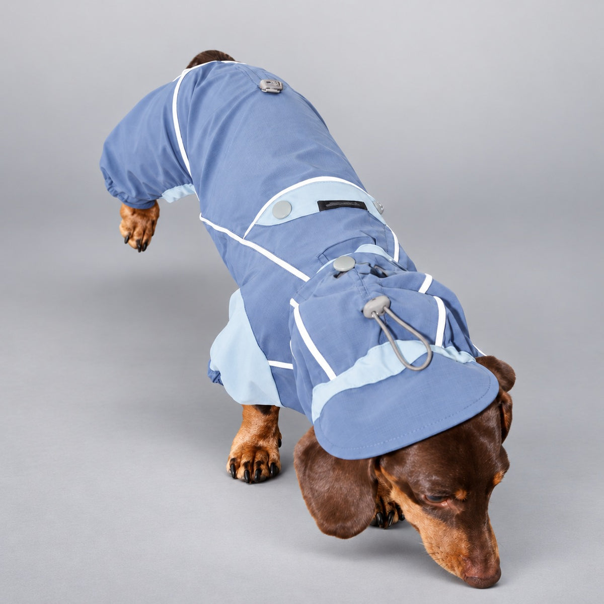 Heather Gray Wool-Blend Two-Leg Pet Sweater（副本）