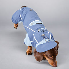 Heather Gray Wool-Blend Two-Leg Pet Sweater（副本）