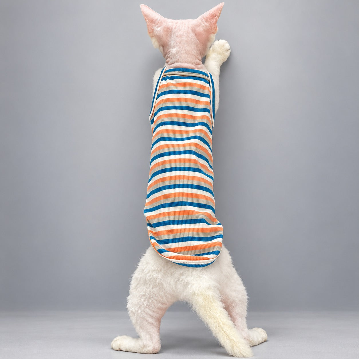 Striped Cotton Cat Vest