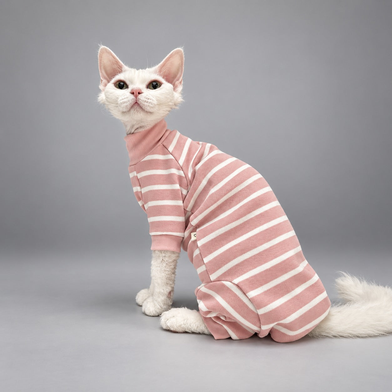 Cat seated in the Blush Stripe four-leg onesie with its head turned toward the camera.