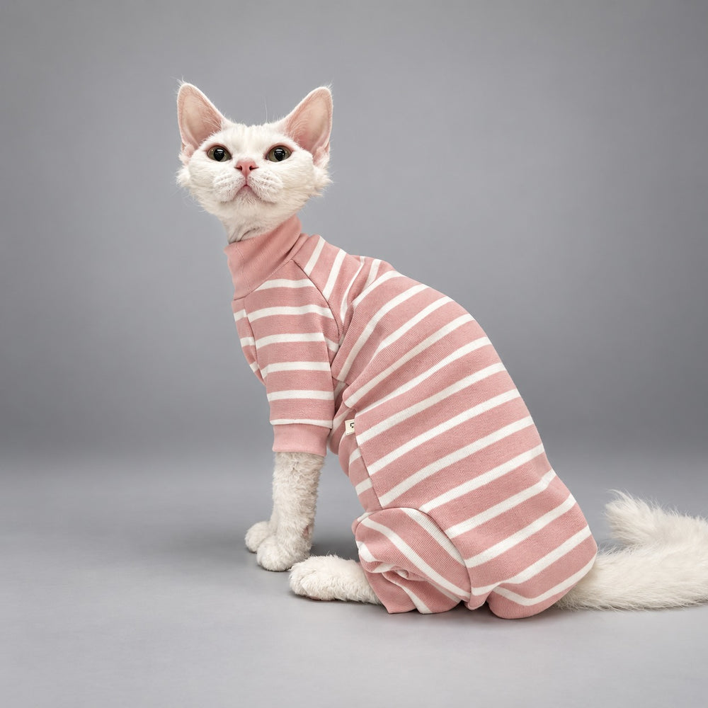 Cat seated in the Blush Stripe four-leg onesie with its head turned toward the camera.