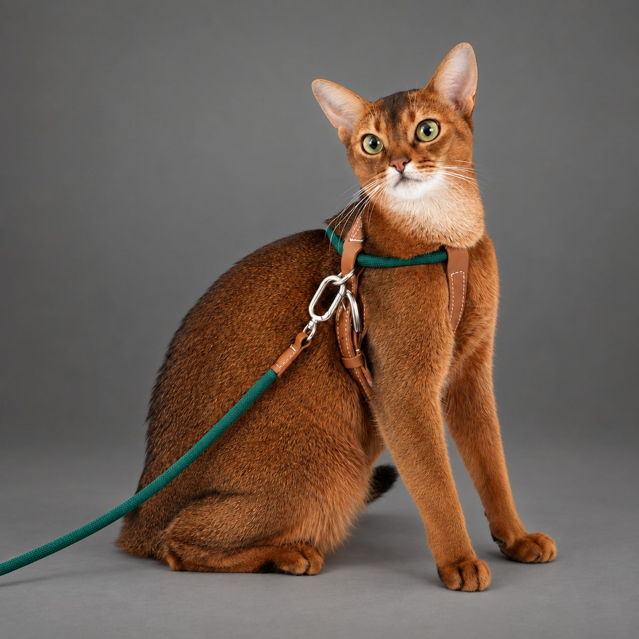 Atelier Rope Cat Harness & Leash Set