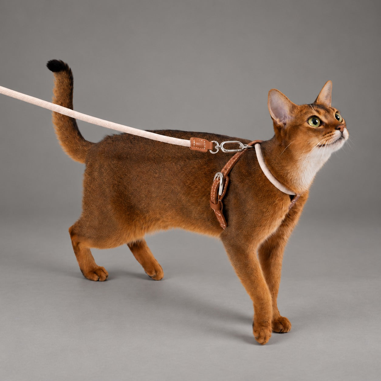 Atelier Rope Cat Harness & Leash Set
