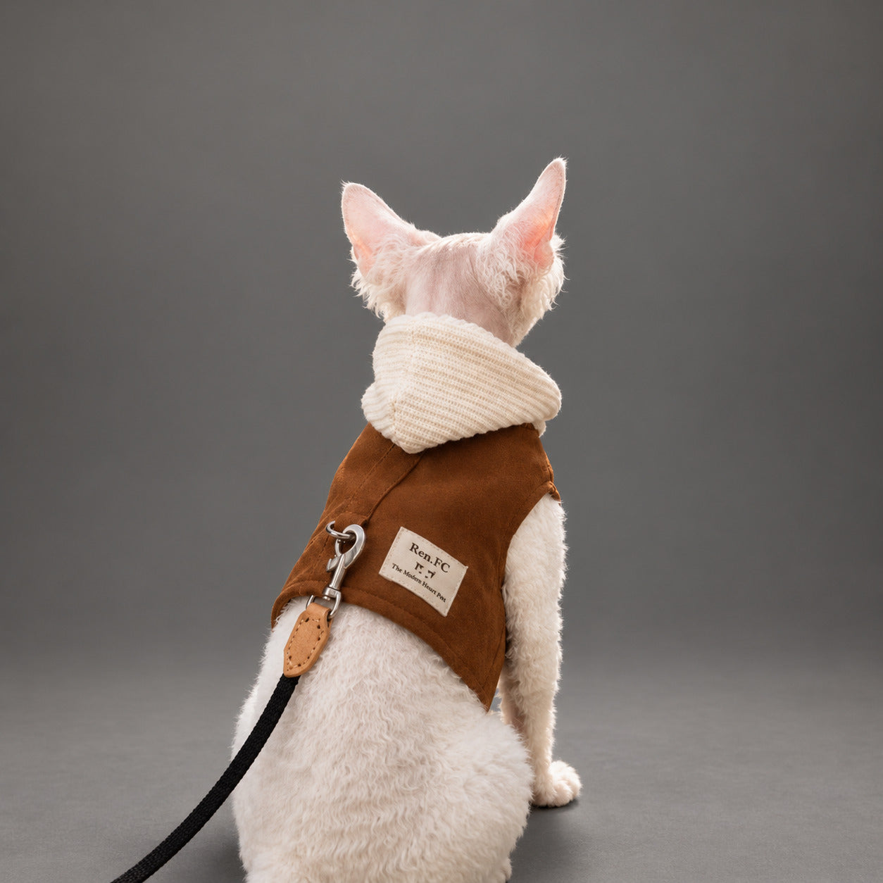 Sphynx-Katzengeschirr und Leinen-Set, hautfreundliches Denim-Westengeschirr für haarlose Katzen, leicht anzuziehendes Hoodie-Katzengeschirr mit integrierter Leine