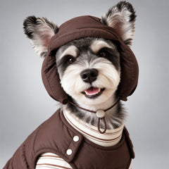 Front view of a Schnauzer wearing the brown padded hat, showing the brim and chin cord.