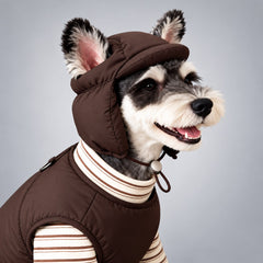 Profile of a Schnauzer in the brown padded dog hat with its ears through the openings.