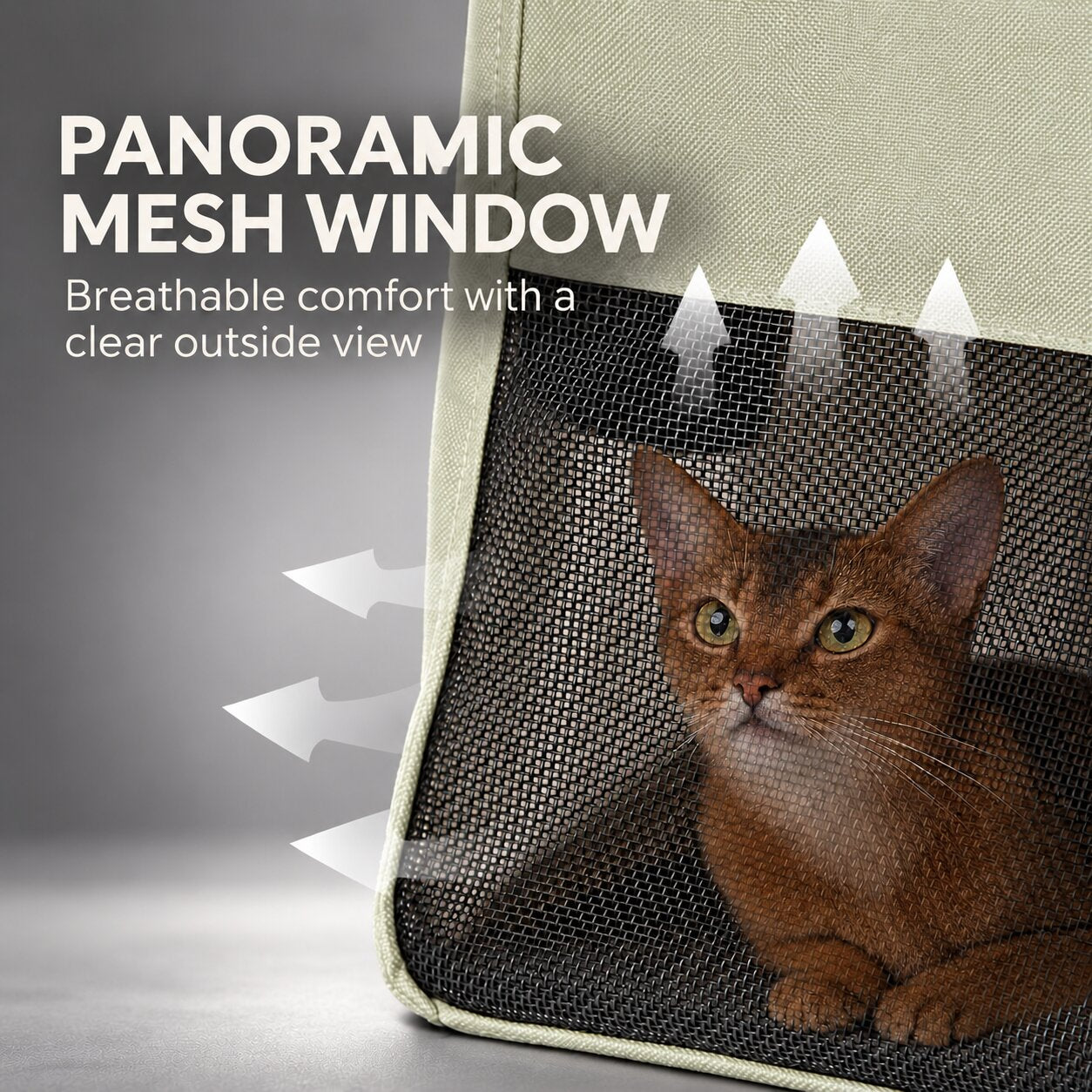 Colorblock Cat Carrier Tote
