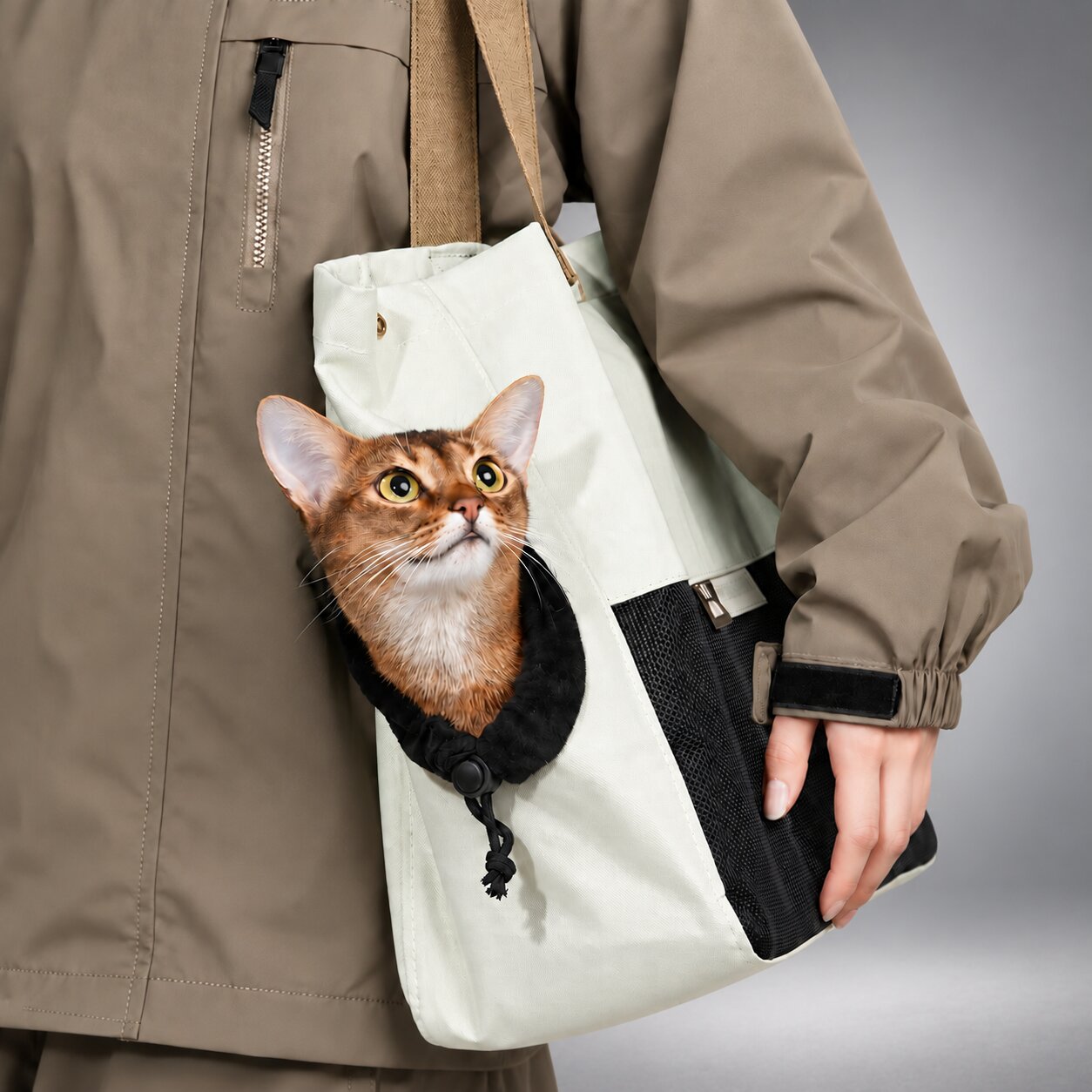 Colorblock Cat Carrier Tote