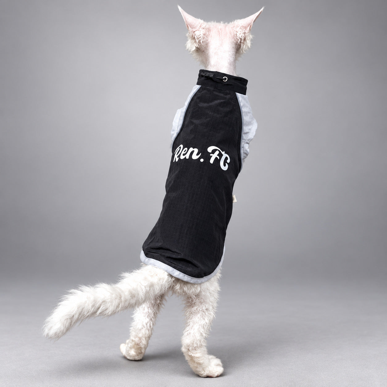 Lightweight Cat Windbreaker Vest