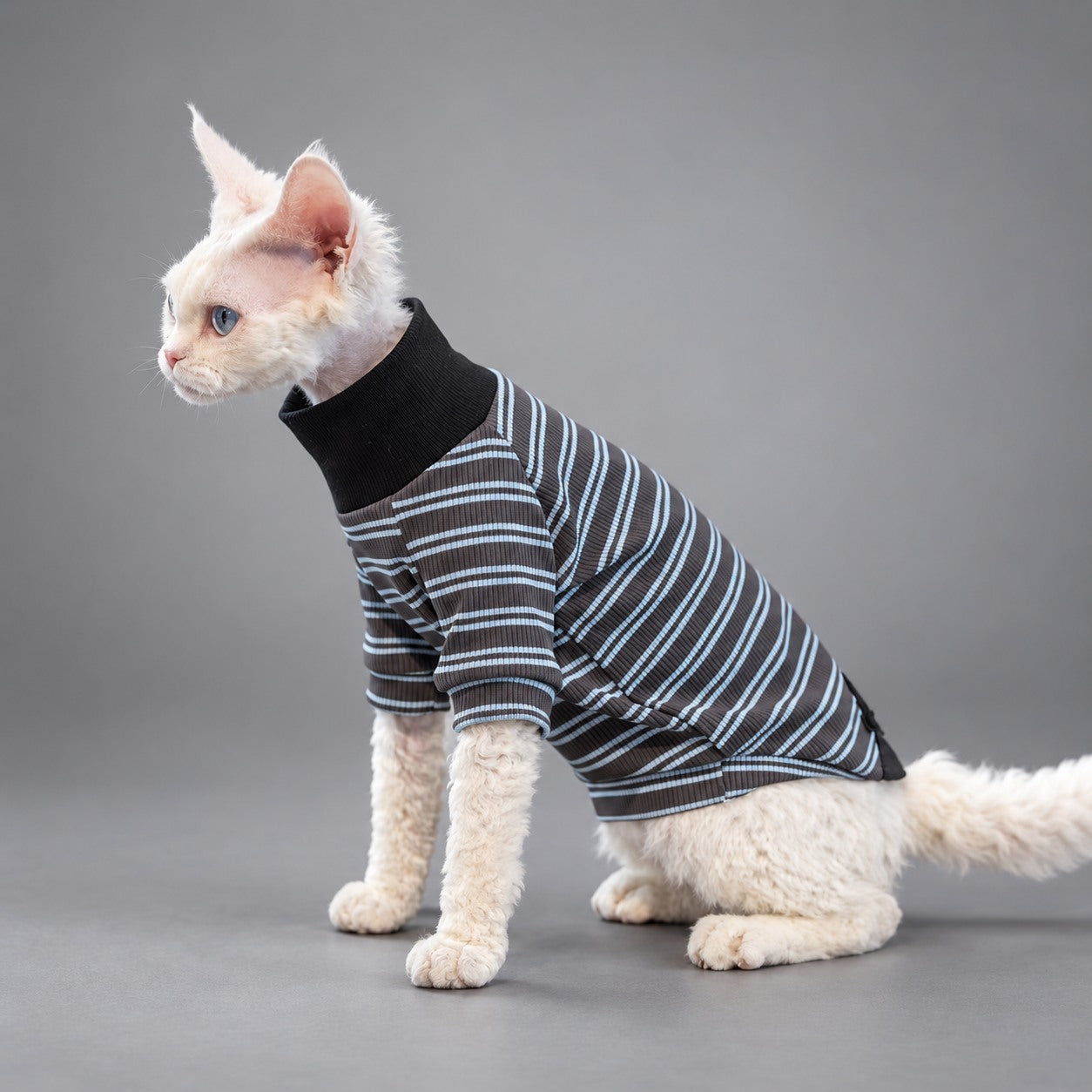 Cat wearing the Black Charcoal Stripe T-shirt, seated in side view.