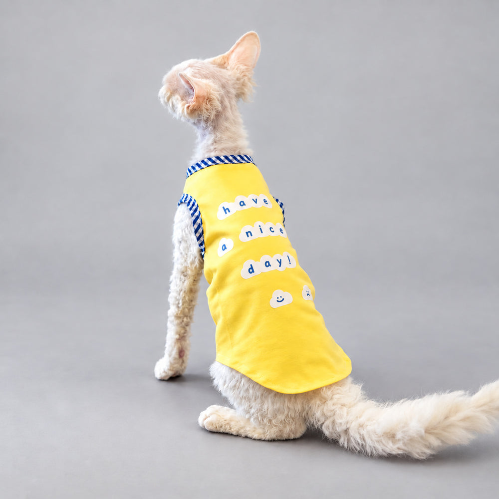 Cat wearing the yellow Cloud Day shirt, seated in rear view.