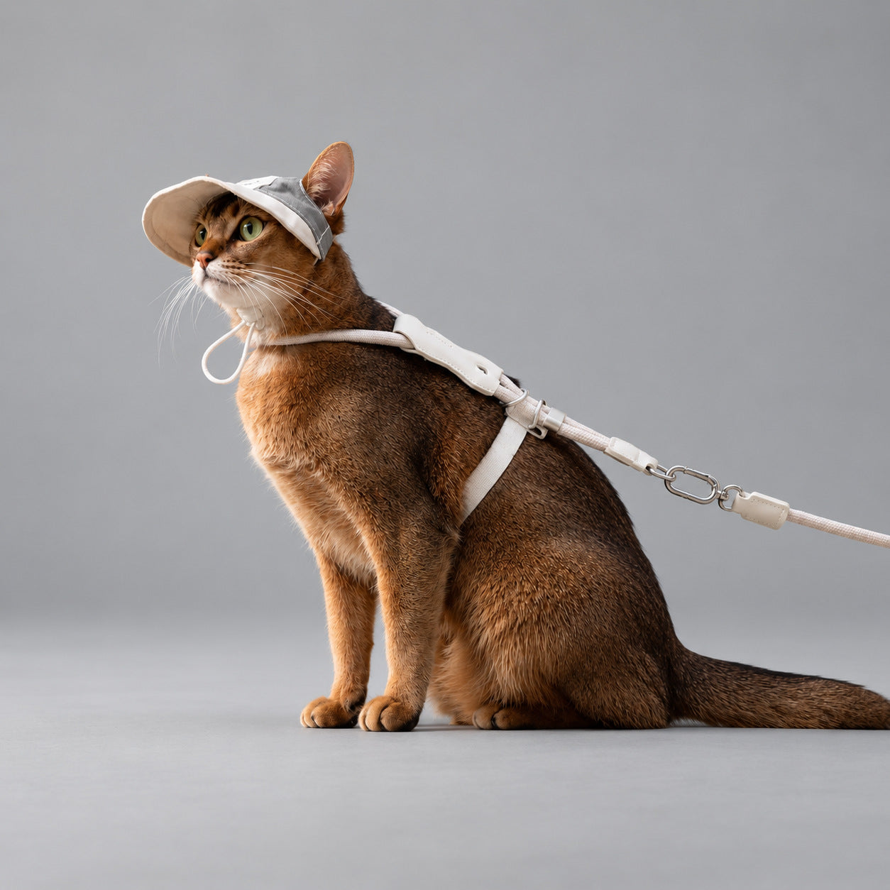 Atelier Shade Lightweight Cat Cap & Rope Harness Set