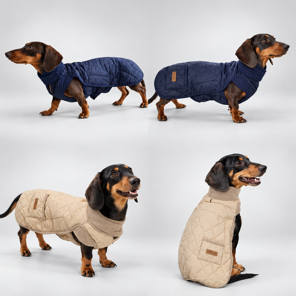 Dachshunds modelling NEKOAN quilted coats in Beige and Navy Blue