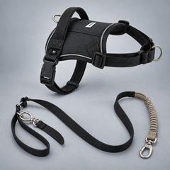 EaseForm™ Harness & Bungee Leash Set