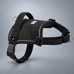 EaseForm™ Harness & Bungee Leash Set