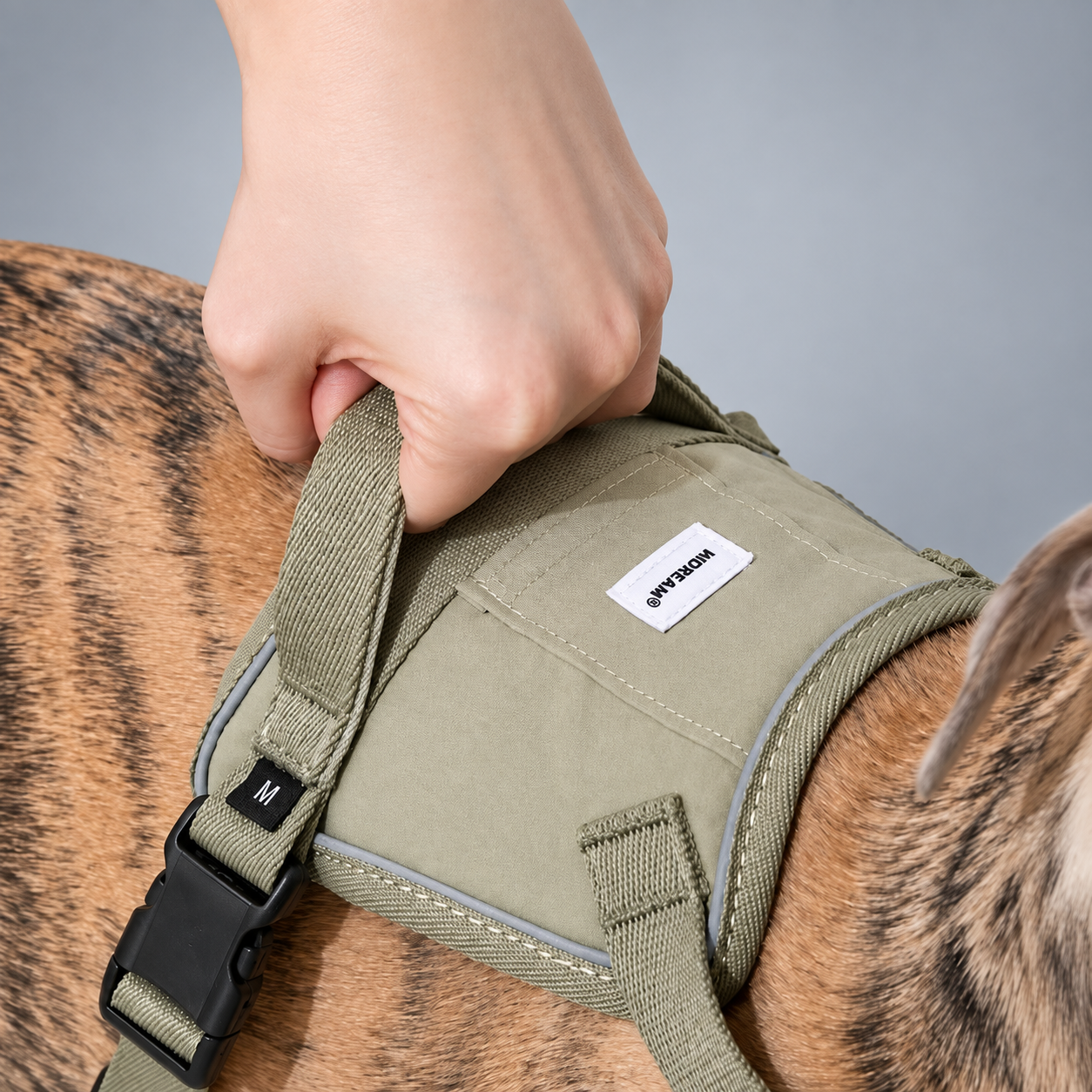 EaseForm™ Harness & Bungee Leash Set