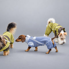 Heather Gray Wool-Blend Two-Leg Pet Sweater（副本）