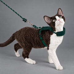 Mellow Corduroy Cat Harness Set
