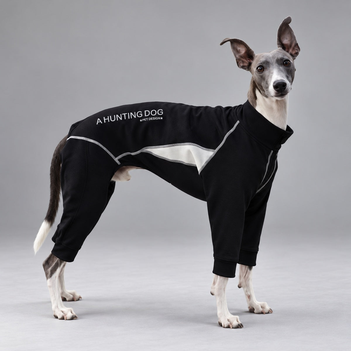 Three-quarter studio view of an Italian Greyhound wearing the black and ivory four-leg snowsuit.