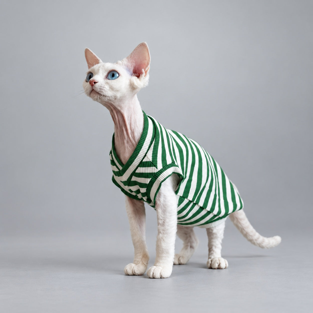 Cat wearing the Forest Green Forest Stripe V-neck vest, standing in front view.