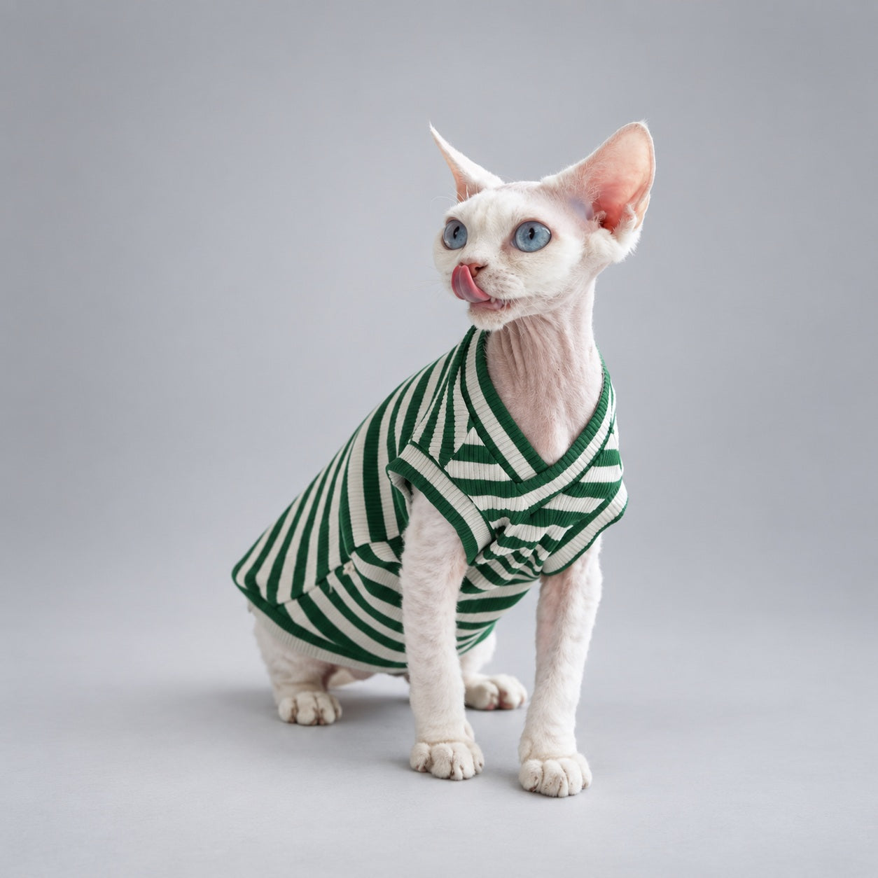 Cat wearing the Forest Green Forest Stripe V-neck vest, seated in side view.