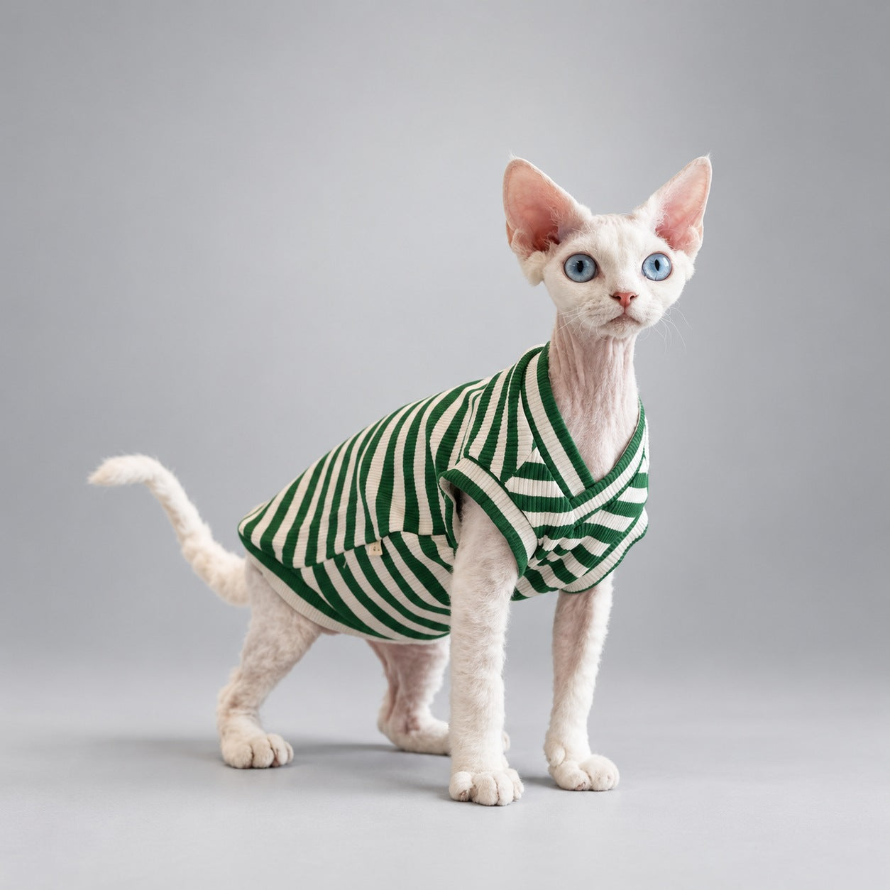 Cat wearing the Forest Green Forest Stripe V-neck vest, standing in side view.