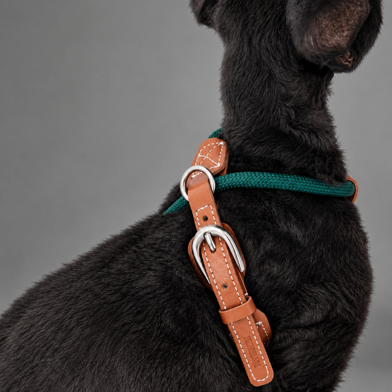 Atelier Rope Cat Harness & Leash Set
