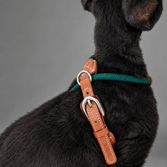 Atelier Rope Cat Harness & Leash Set