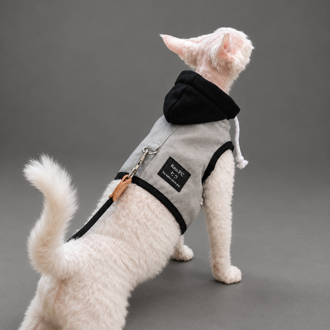 The Oslo Hooded Cat Harness Vest & Leash Set