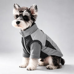 Seated Schnauzer wearing the gray and black vest over its matching fleece shirt.