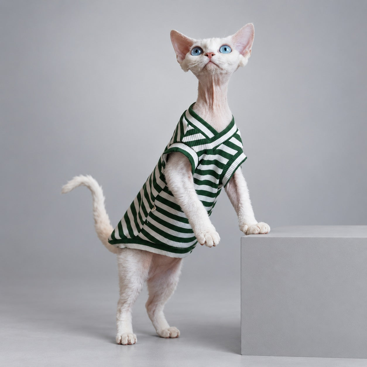 Forest Stripe V-Neck Cat Vest