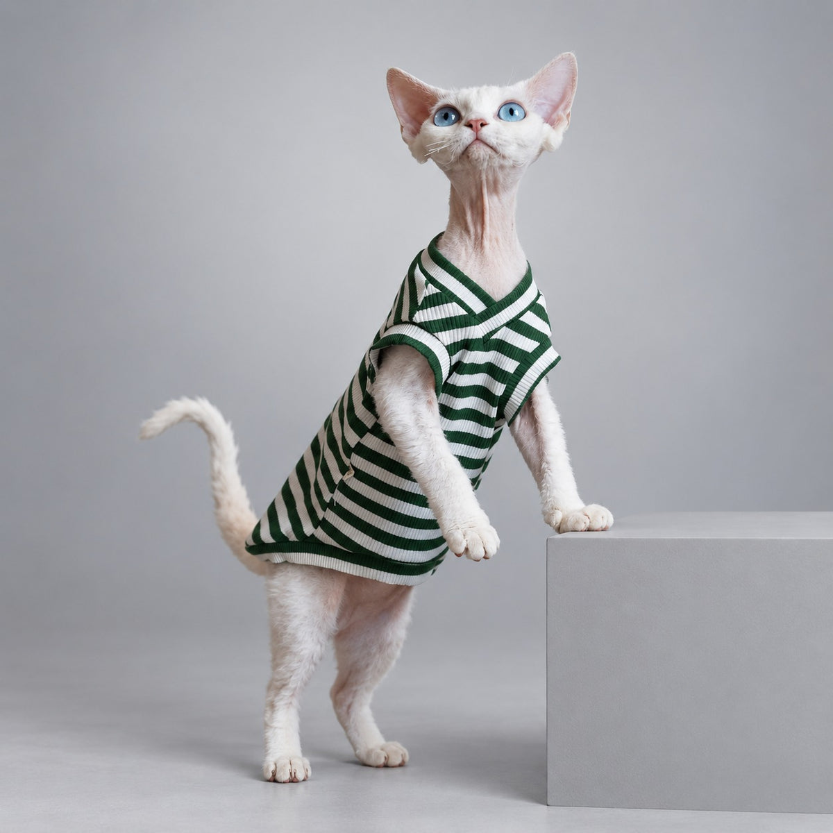 Forest Stripe V-Neck Cat Vest