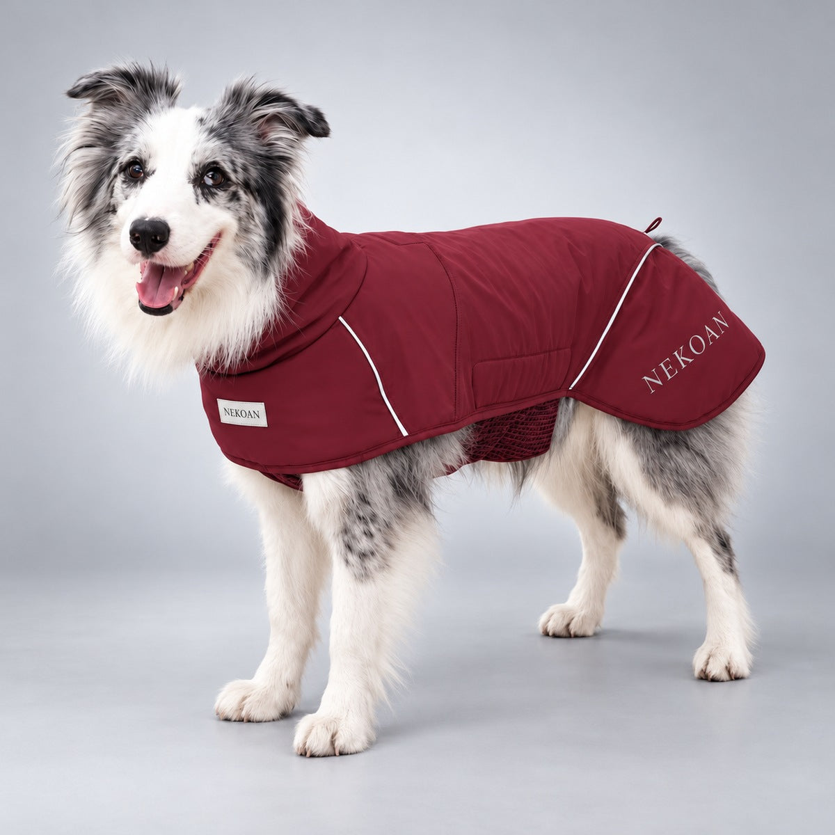 Reflective Outdoor Dog Coat