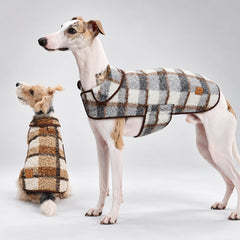 Two dogs wearing NEKOAN plaid coats in Blue and Brown