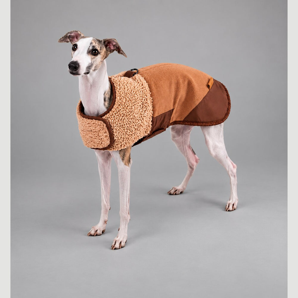 Dog wearing the Camel Brown Heritage sherpa coat, standing in side view.