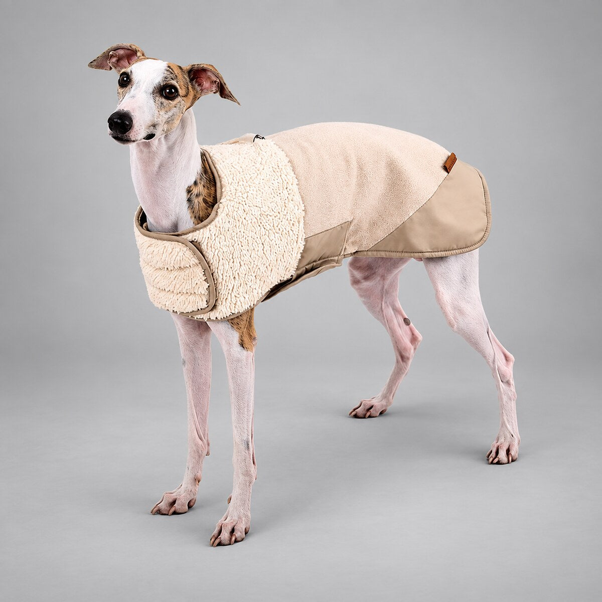 Dog wearing the Cream Beige Heritage sherpa coat, standing in side view.
