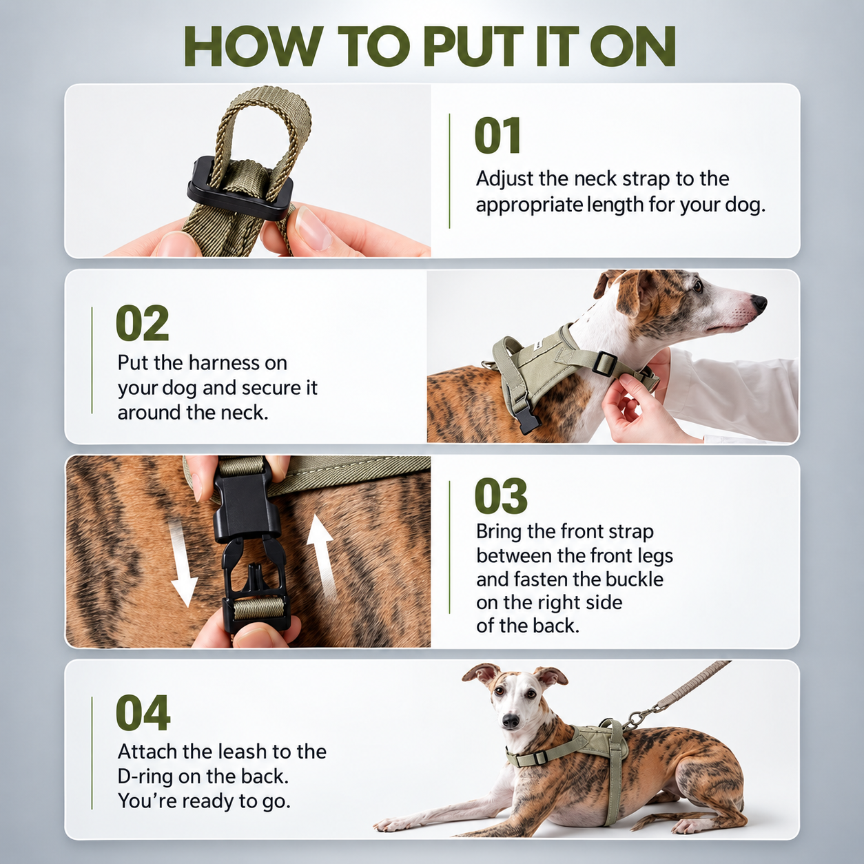 EaseForm™ Harness & Bungee Leash Set