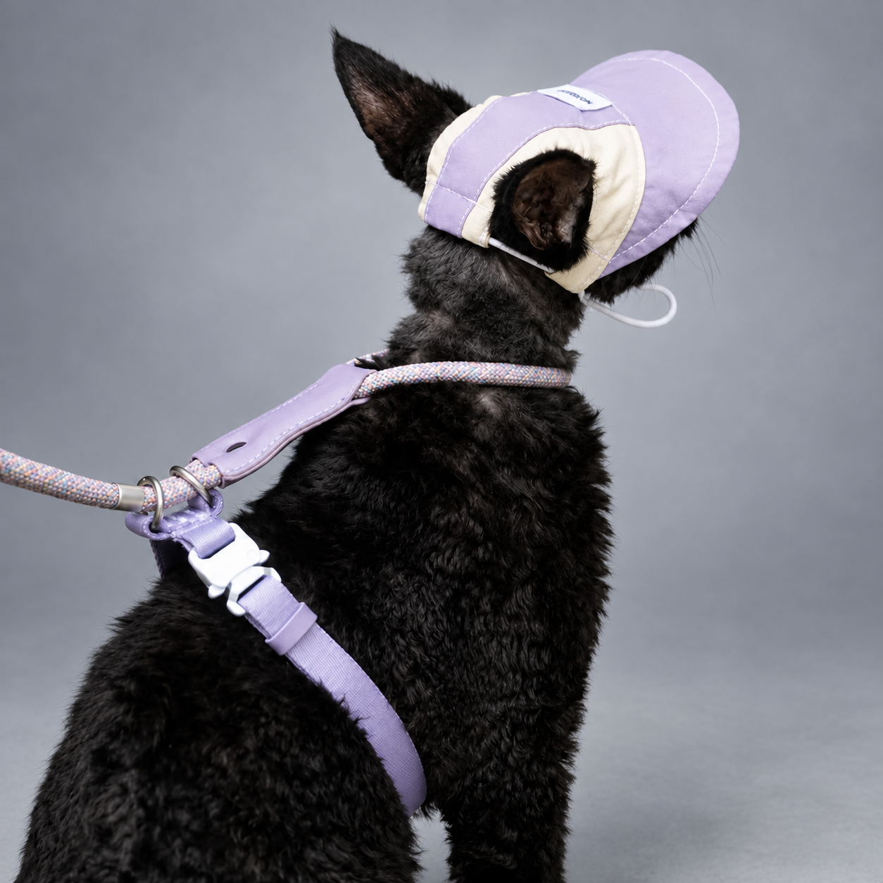 Atelier Shade Lightweight Cat Cap & Rope Harness Set