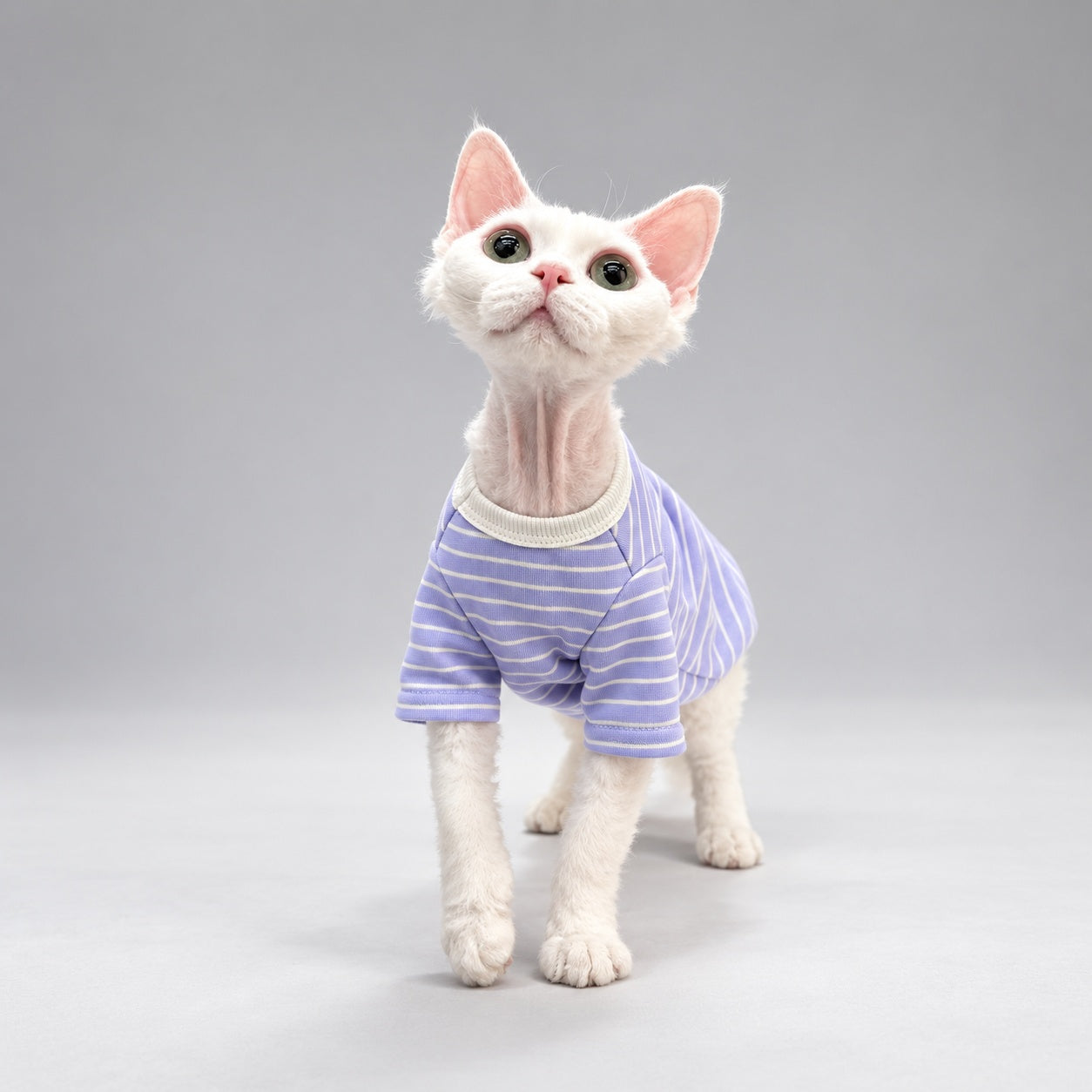 Lavender Stripe Crewneck Cat Shirt