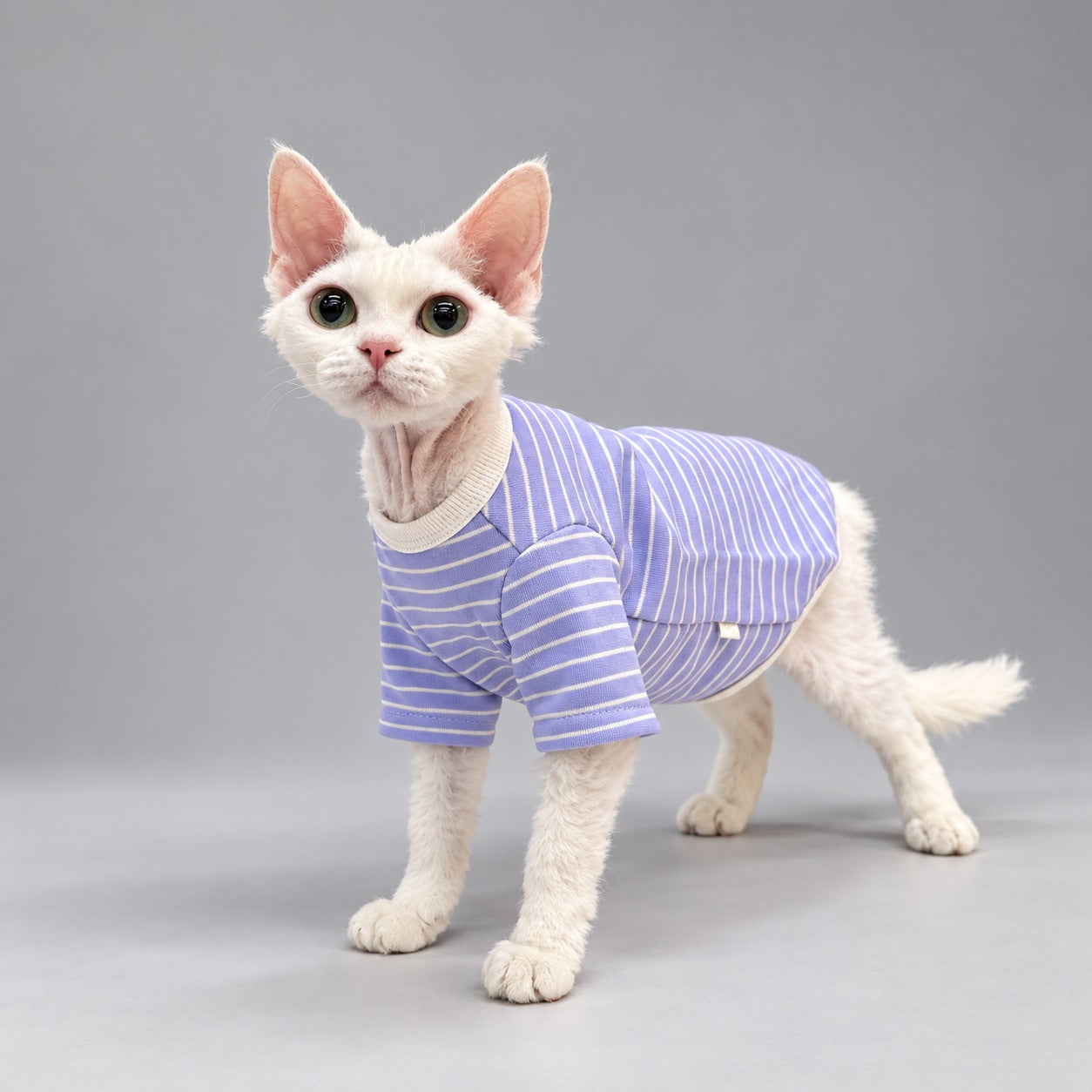 Lavender Stripe Crewneck Cat Shirt