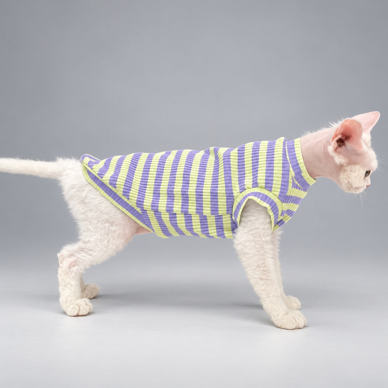 Cat wearing the Lavender & Lime vest, walking in side view.