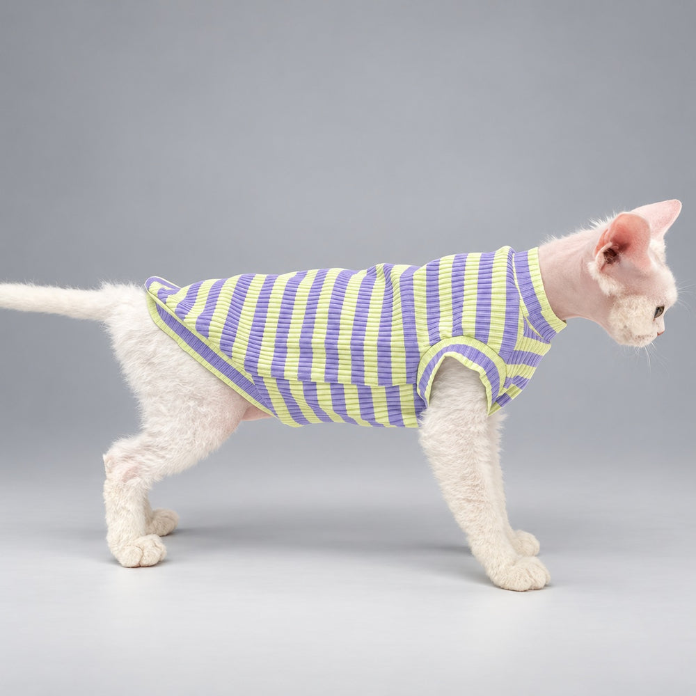Cat wearing the Lavender & Lime vest, walking in side view.