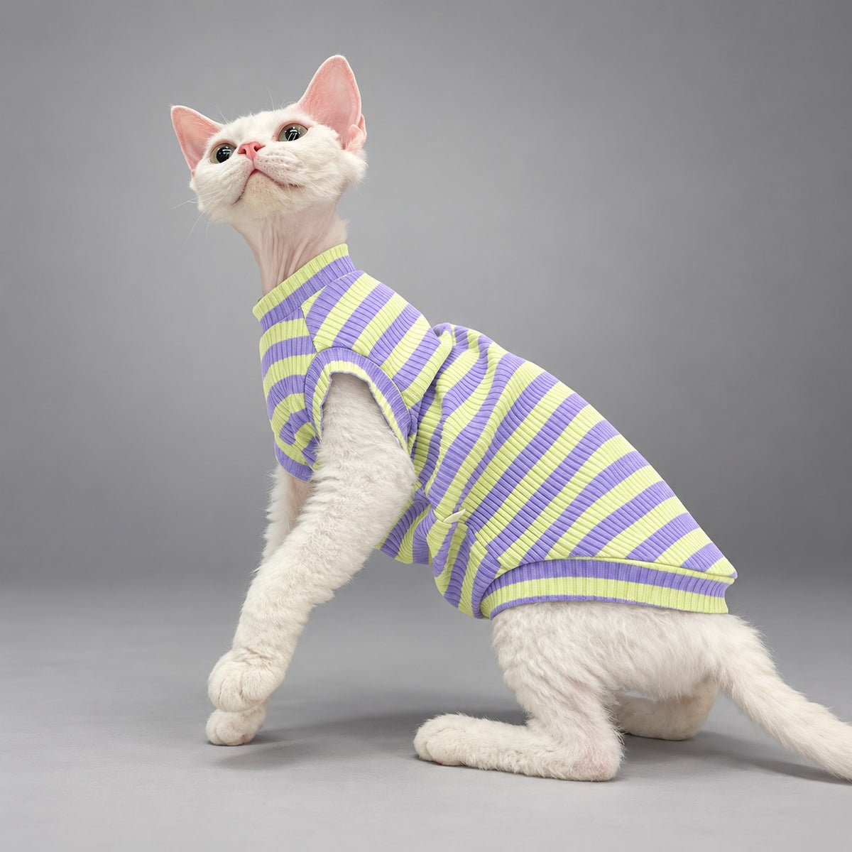 Lavender & Lime Cotton Cat Vest