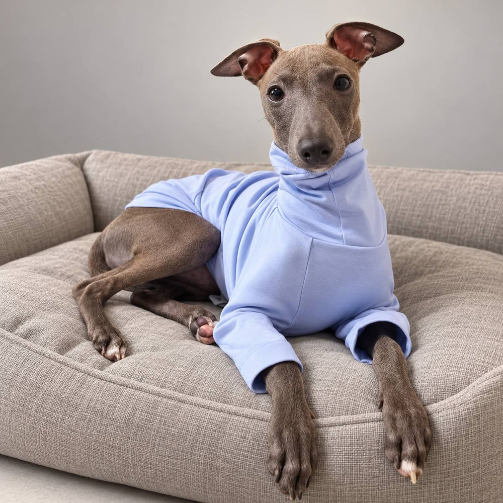 Italian Greyhound resting on a cushioned bed in the lavender cotton turtleneck T-shirt.