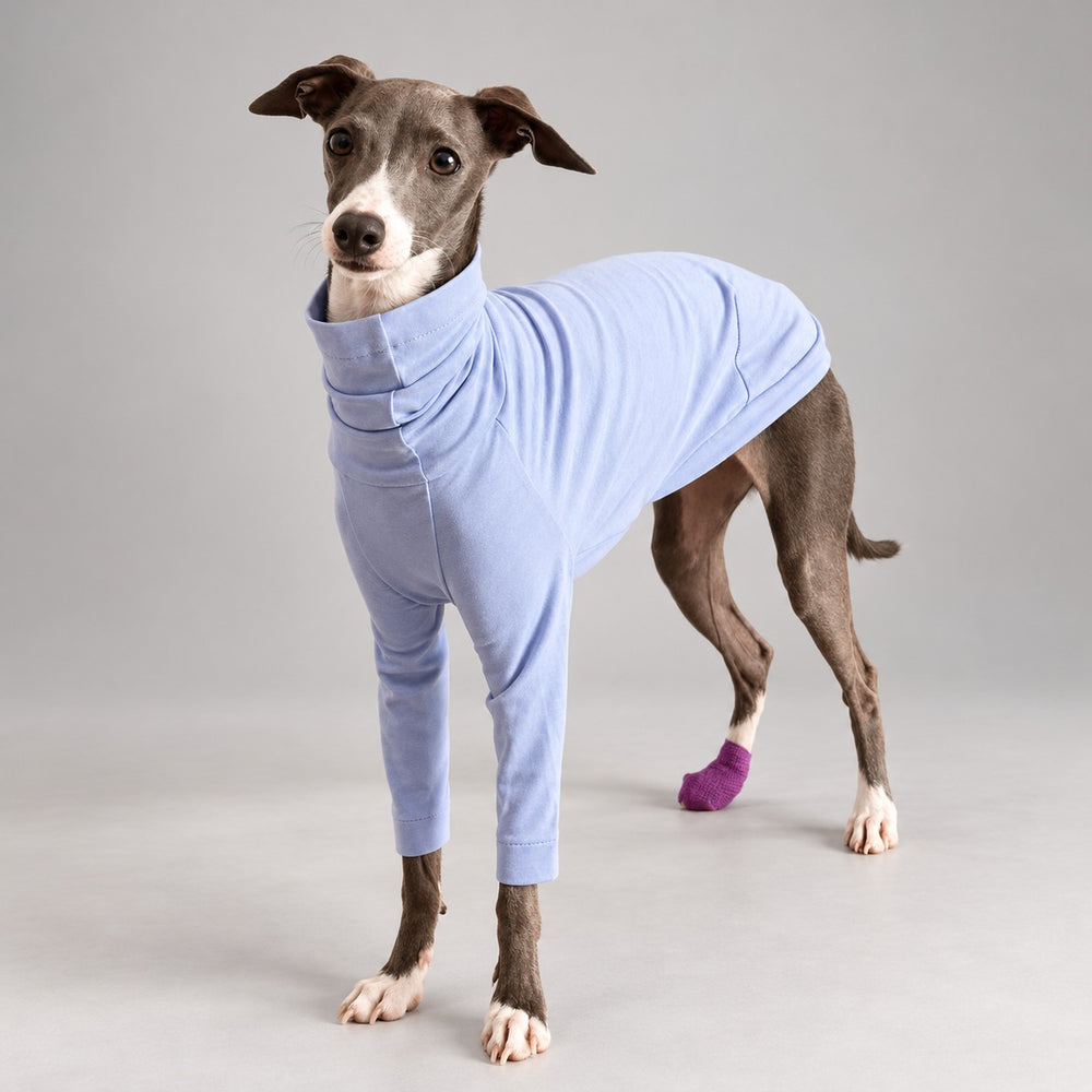 Italian Greyhound standing in a lavender long-sleeve cotton turtleneck T-shirt, showing the chest and side fit.