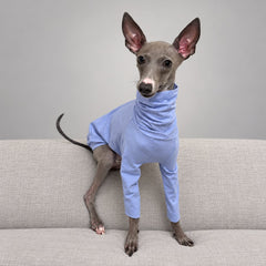 Front view of an Italian Greyhound wearing the lavender sighthound T-shirt, with a high neck and long front sleeves.