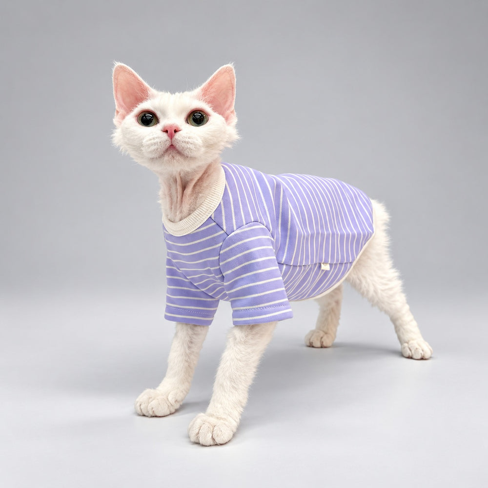 Cat wearing the Lavender Stripe crewneck shirt, standing in side view.