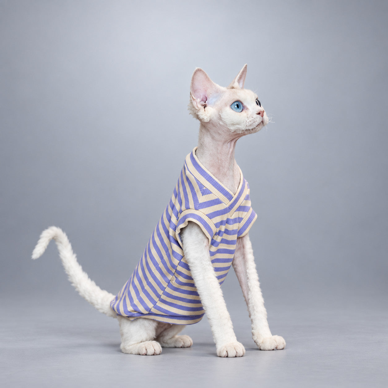 Hairless cat wearing the Lavender Stripe V-neck tank, seated in side view.