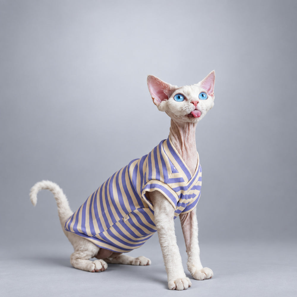 Hairless cat seated in the Lavender Stripe tank with its head turned toward the camera.